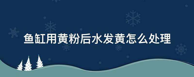 鱼缸用黄粉后水发黄怎么处理（鱼缸里加了黄粉之后水总感觉发黄）