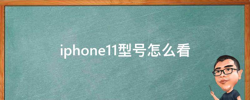 iphone11型号怎么看 苹果手机11怎么看型号