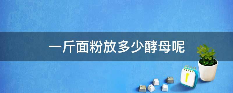 一斤面粉放多少酵母呢（一斤面粉放多少发酵母）