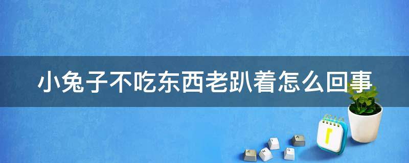 小兔子不吃东西老趴着怎么回事 兔子临死前最明显症状