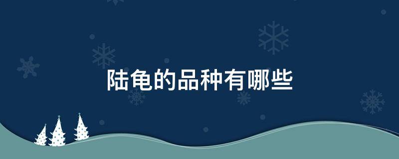 陆龟的品种有哪些 陆龟品种大全298种