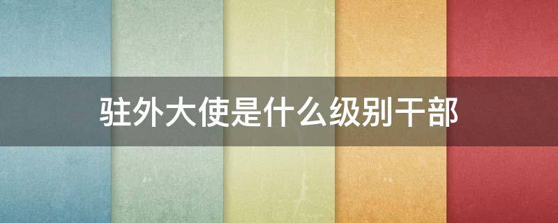 驻外大使是什么级别干部 驻外国大使是什么级别的官员