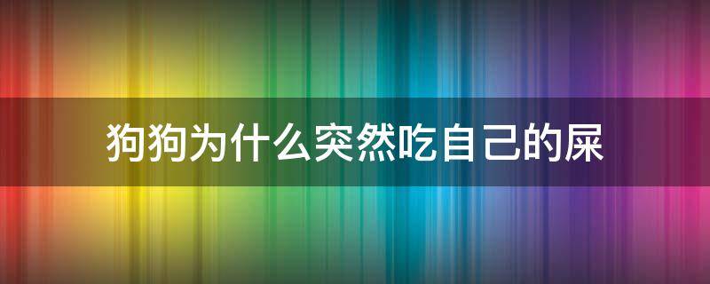 狗狗为什么一直吃自己的屎 狗狗为什么突然吃自己的屎