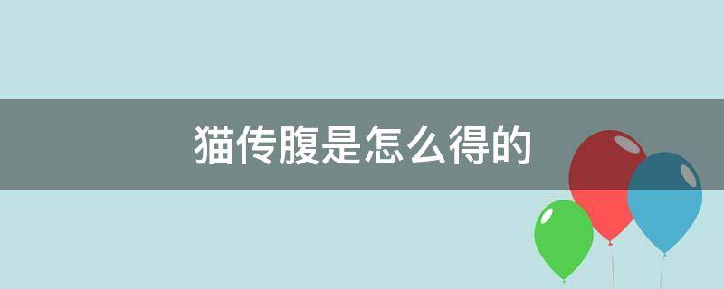 猫传腹是怎么得的（猫传腹 百度百科）