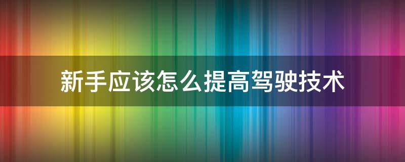 新手应该怎么提高驾驶技术（新手如何提升驾驶技术）