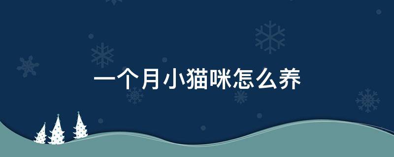 一个月小猫咪怎么养 一个月小猫咪怎么养活