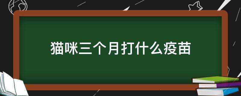 猫咪三个月打什么疫苗 三个月的猫该打什么疫苗