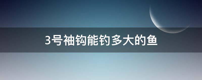 3号袖钩能钓多大的鱼（3号袖钩钓多大鲤鱼）