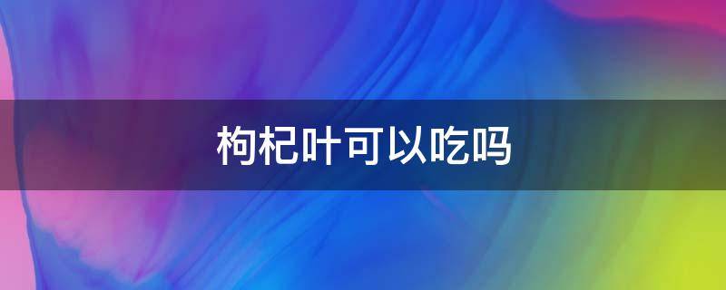 枸杞叶可以吃吗（经期枸杞叶可以吃吗）