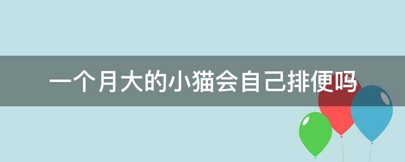 一个月的猫猫会自己排便吗? 一个月大的小猫会自己排便吗