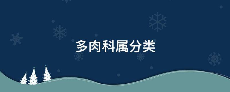 多肉科属分类 常见多肉科属