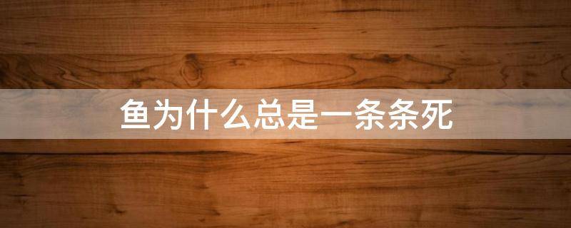 鱼为什么一条一条接着死 鱼为什么总是一条条死