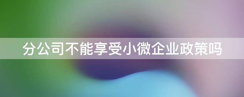 分公司不能享受小微企业优惠吗 分公司不能享受小微企业政策吗