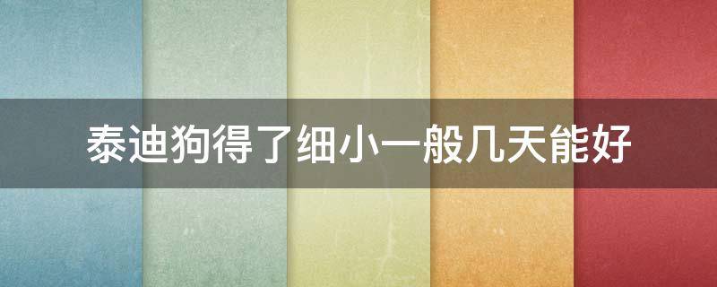 泰迪狗得了细小一般几天能好 泰迪几个月容易得细小