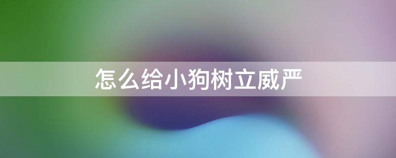 怎么给小狗树立威严 怎么在狗狗面前树立威信