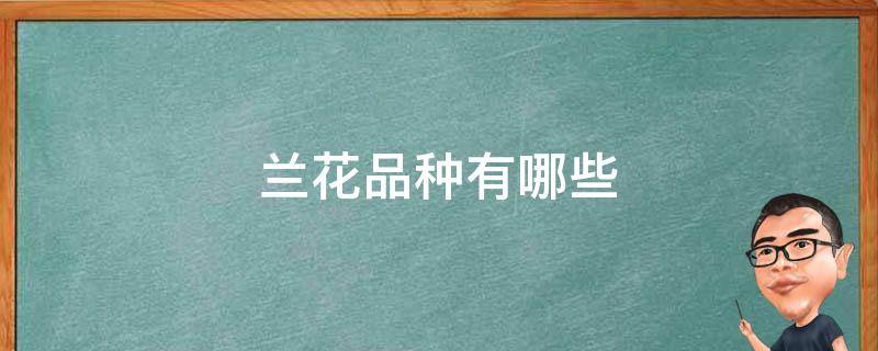 兰花品种有哪些 兰花品种有哪些 兰花图片欣赏