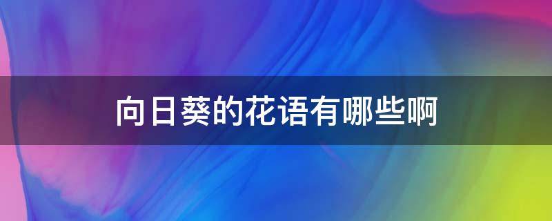 向日葵的花语是什么呀? 向日葵的花语有哪些啊