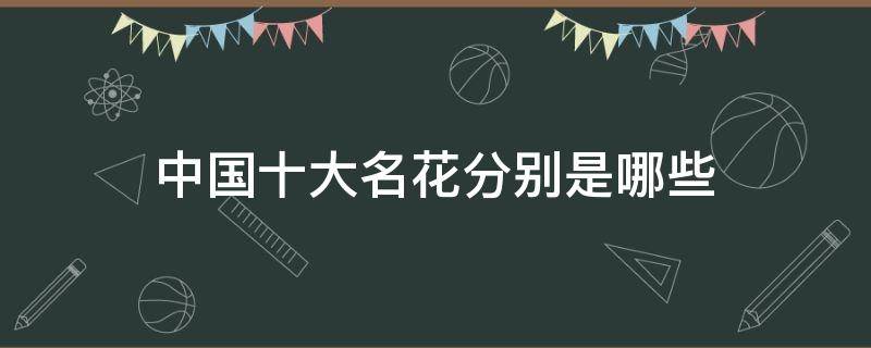 中国十大名花分别是哪些 中国十大名花是哪十大