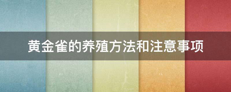 黄金雀的养殖方法和注意事项 黄金雀的养殖方法