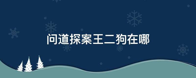 问道探案王二狗在哪里 问道探案王二狗在哪