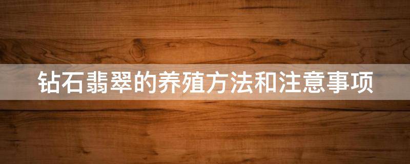 钻石翡翠的养殖方法和注意事项 钻石翡翠喜阴还是喜阳