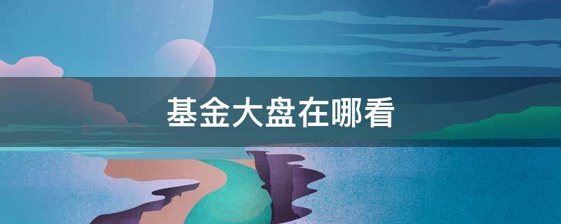 基金大盘在哪看（基金大盘去哪里看）