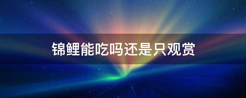 观赏鱼锦鲤能吃吗?人们不吃它竟然是这个原因! 锦鲤能吃吗还是只观赏