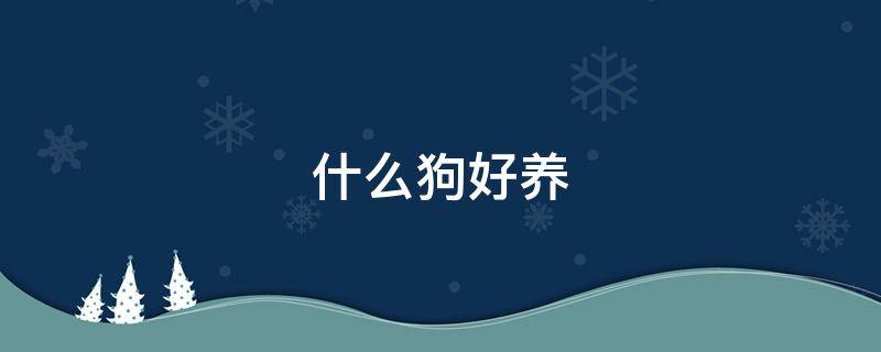 什么狗好养 什么狗好养听话聪明又干净还便宜