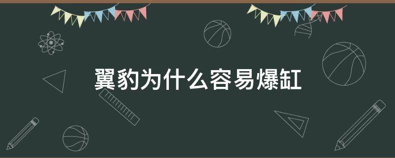 翼豹真的容易爆缸吗 翼豹为什么容易爆缸