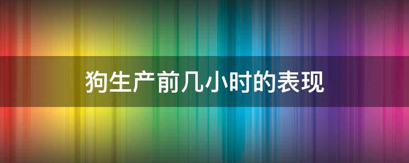 狗生产前几小时的表现（狗狗临产当天的表现）