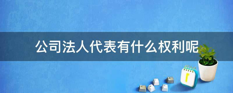 公司法人是法人代表吗 公司法人代表有什么权利呢