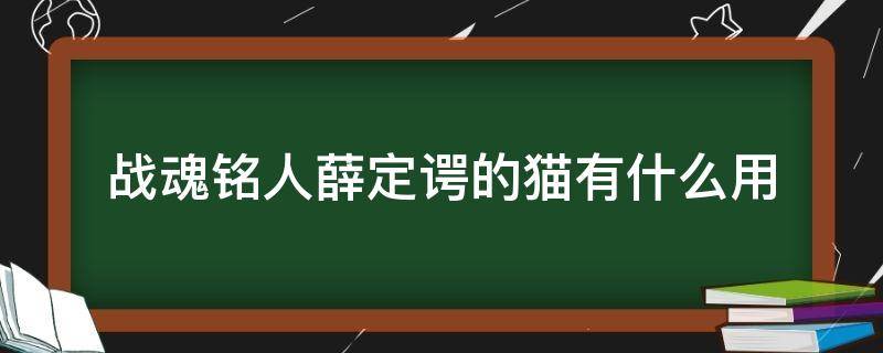 战魂铭人薛定谔的猫有啥用 战魂铭人薛定谔的猫有什么用