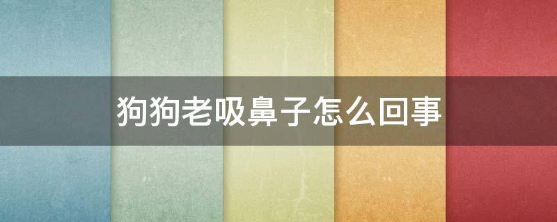 狗狗老是吸鼻子怎么回事 狗狗老吸鼻子怎么回事