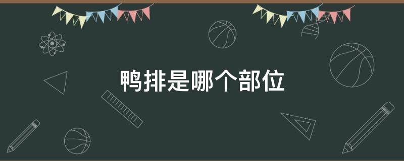 鸭排是哪个部位 鸭排是鸭子的什么部位