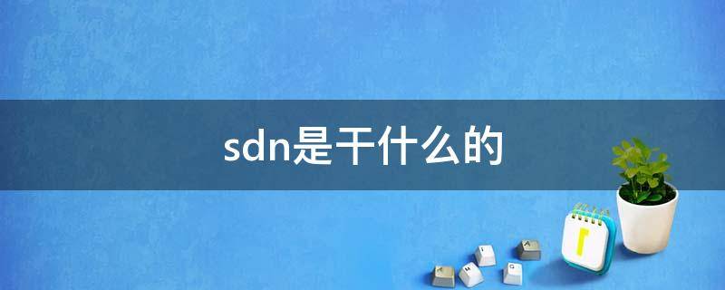 sdn是干什么的 SDN是什么?