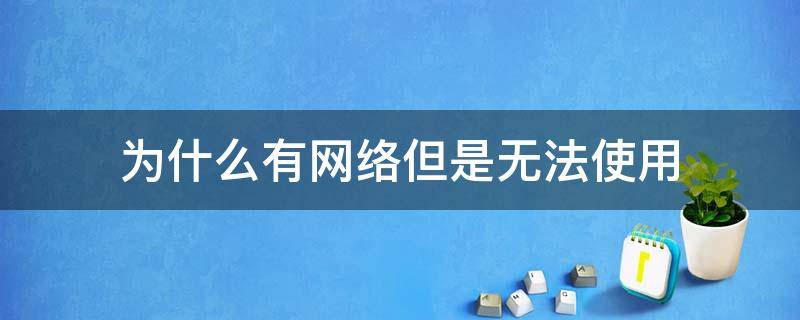 为什么有网络但是无法使用 为什么有网络但是无法使用电脑