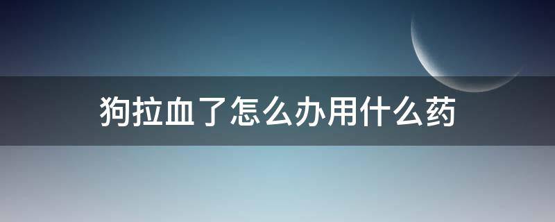 狗拉血怎样治疗 狗拉血了怎么办用什么药