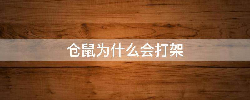 情侣仓鼠为什么会打架 仓鼠为什么会打架