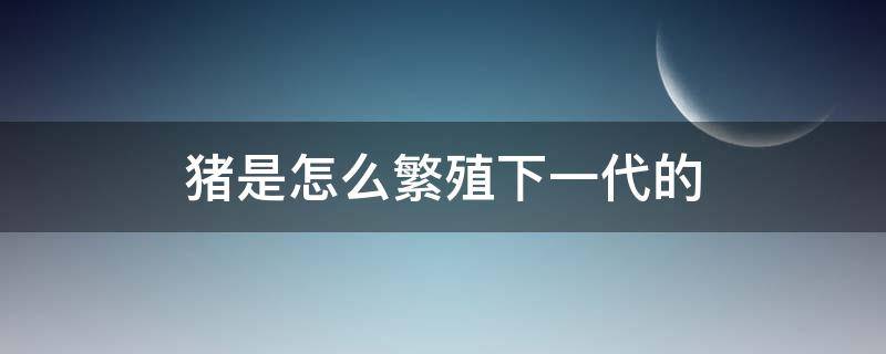 猪是怎么繁殖下一代的 猪如何繁殖下一代