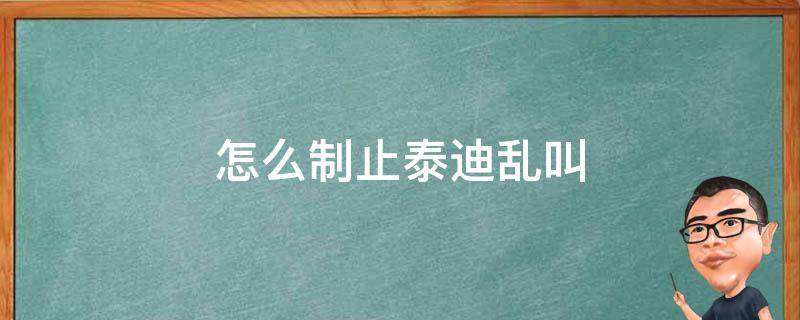 怎么制止泰迪乱叫打他 怎么制止泰迪乱叫