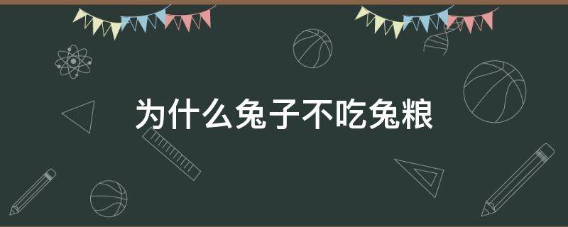 为什么兔子不吃兔粮 为什么兔子不吃兔粮只吃草