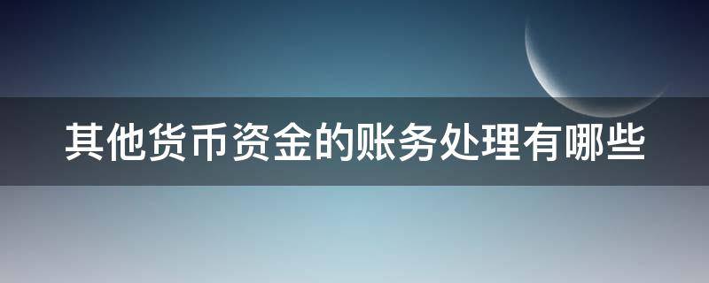 其他货币资金的账务处理有哪些（其他货币资金的账务处理有哪些方法）