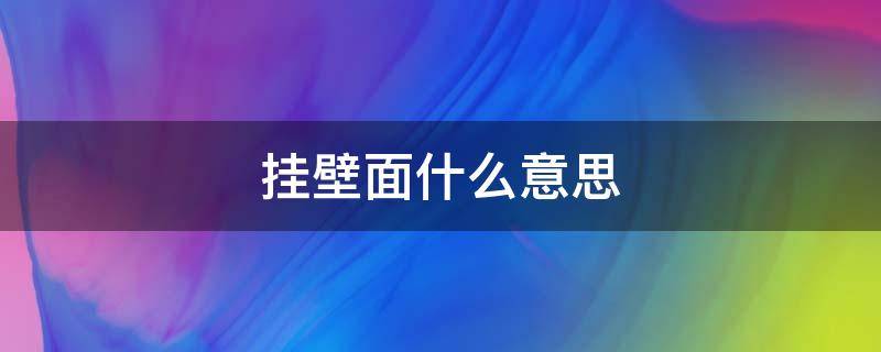 挂壁面什么意思 壁挂啥意思