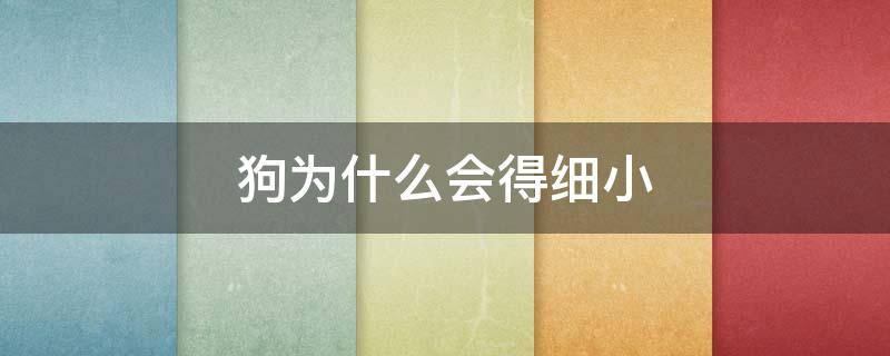 狗为什么会得细小 狗为什么会得细小?