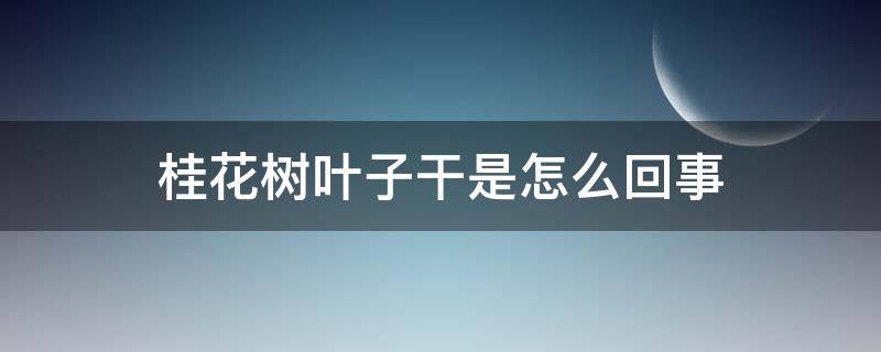 桂花树叶子干了是怎么回事 桂花树叶子干是怎么回事