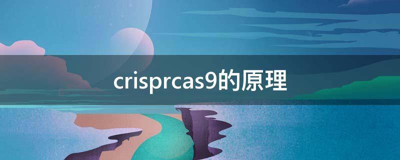 crisprcas9的原理 crisprcas9原理及应用