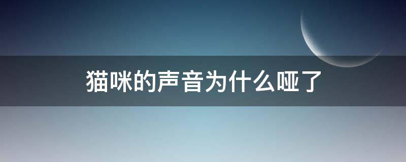 猫咪声音变哑了 猫咪的声音为什么哑了