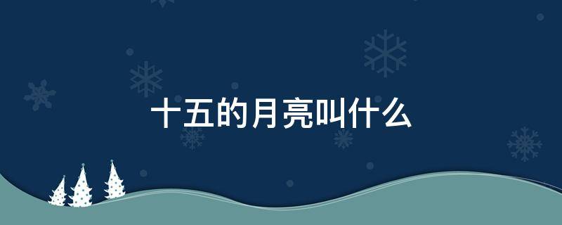 农历十五的月亮叫什么 十五的月亮叫什么