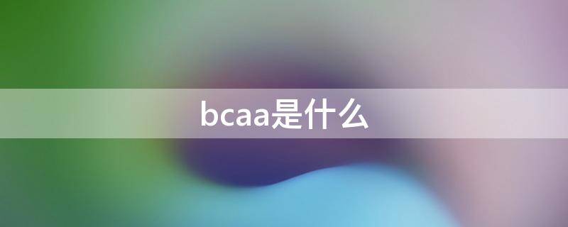 bcaa是什么补剂 bcaa是什么