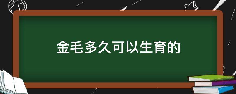 金毛几年可以生宝宝 金毛多久可以生育的